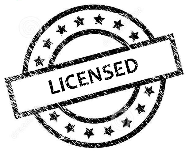 Juego licenciado