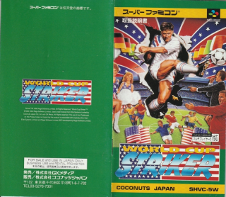 World Cup Striker