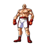 Axel Hawk
