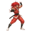 Fuuma Kotaro