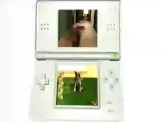 Tus Amigos de Nintendo - 2008 Nintendo España